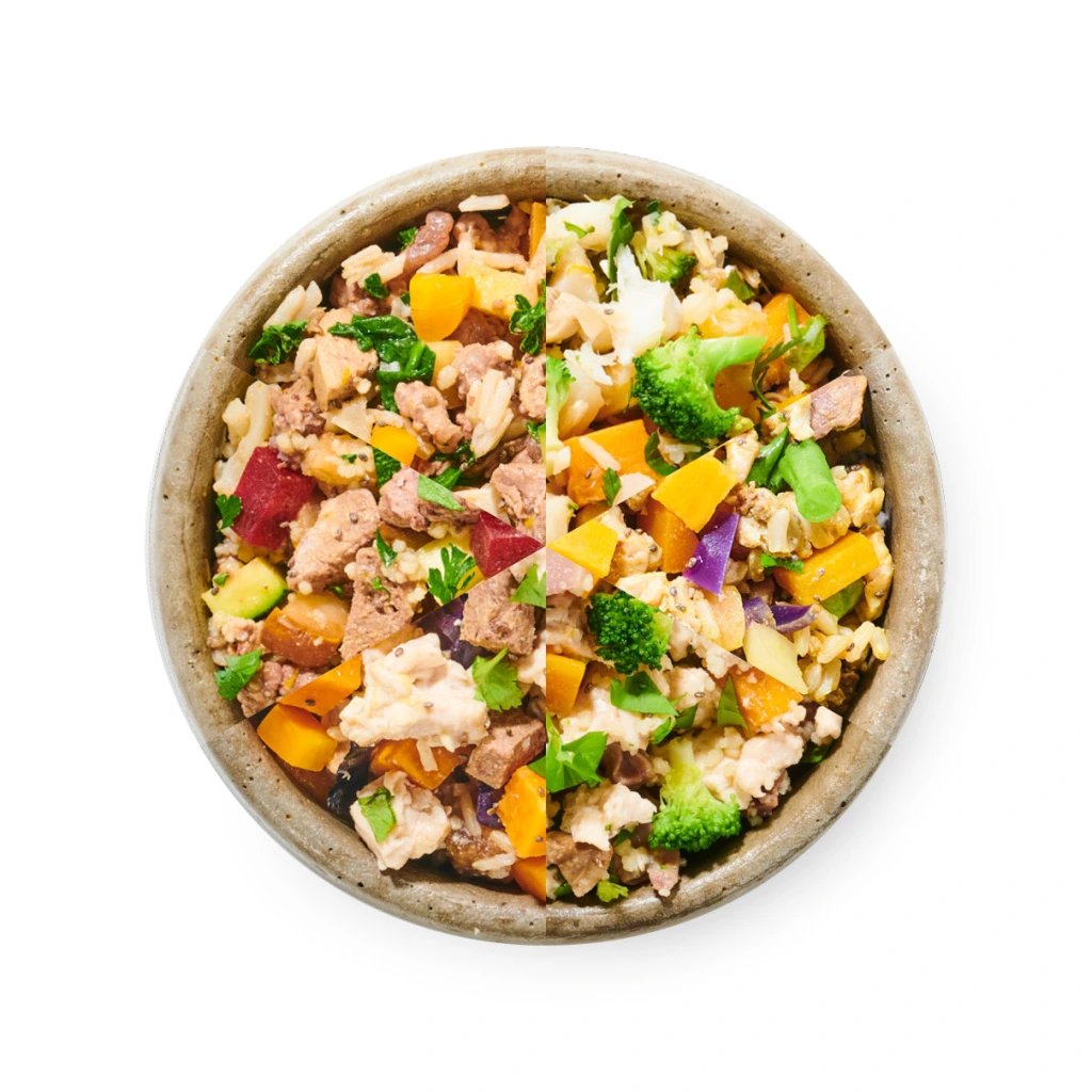 93-1_bibi-food-gurman-mix-na-web-01